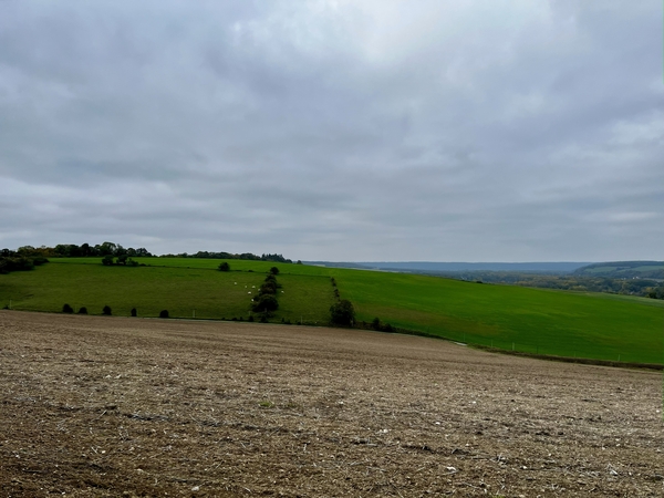 Champs du côté est de la Forêt Régionale de la Roche-Guyon, en direction de Gasny (Île-de-France, France)