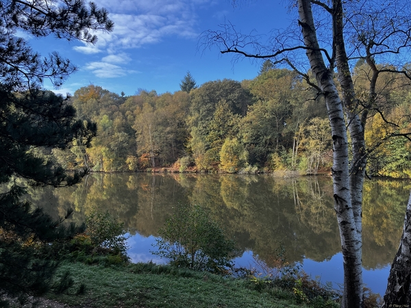 Les étangs de l'Andelle (Forges-les-Eaux, Normandie)