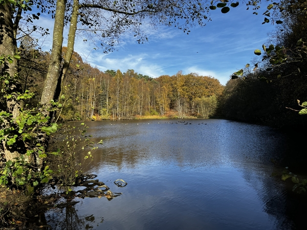 Les étangs de l'Andelle (Forges-les-Eaux, Normandie) Les étangs de l'Andelle (Forges-les-Eaux, Normandie)